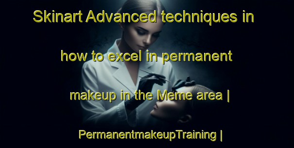 Skinart Advanced techniques in how to excel in permanent makeup in the Meme area | PermanentmakeupTraining | PermanentmakeupClasses | SkinartTraining-the Democratic Republic of the Congo